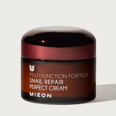 MIZON SNAIL REPAIR PERFECT CREAM